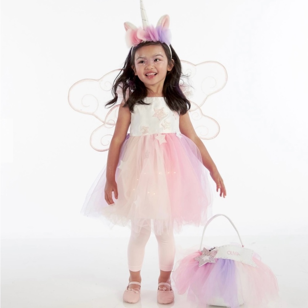 Pottery Barn Kids Fairy Costume - Pink and White
